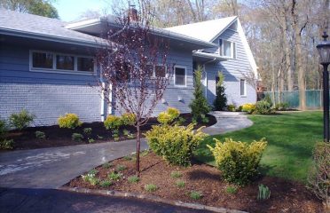 Broadleaf Landscape Design