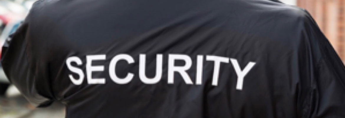 GIS Security LLC