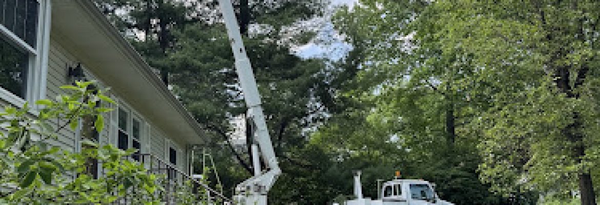 E&S tree Services and landscaping LLC