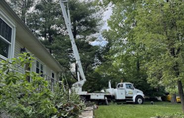 E&S tree Services and landscaping LLC