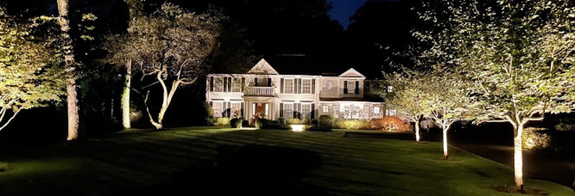 Daly Lighting
