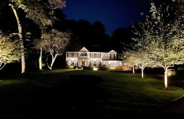 Daly Lighting