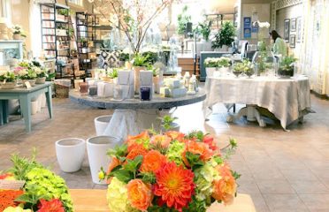 McArdle’s Floral & Garden Design