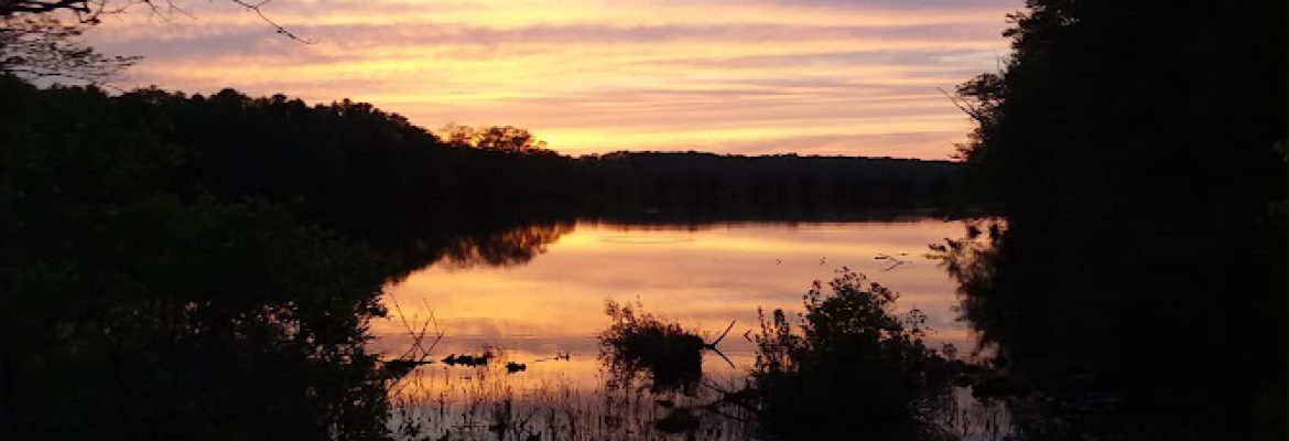 East Killingly