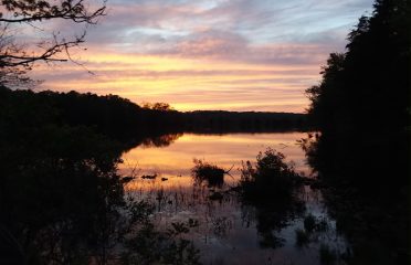 East Killingly