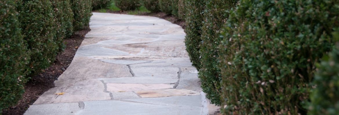 Colandro & Imbrogno Masonry, LLC