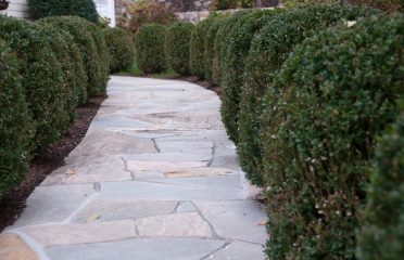Colandro & Imbrogno Masonry, LLC