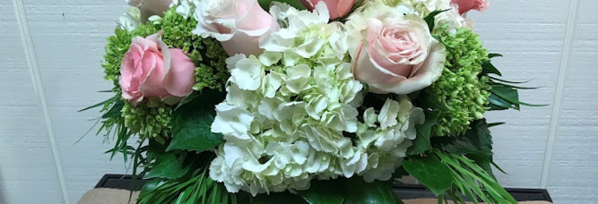 Blossoms at Dailey’s Flower Shop