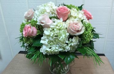 Blossoms at Dailey’s Flower Shop