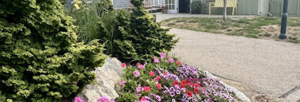 Plants by the Village