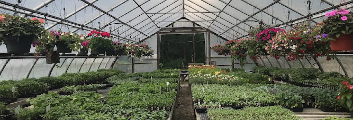 Kristen’s Country Greenhouses