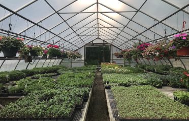 Kristen’s Country Greenhouses