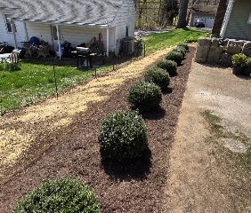 A&F tree services and landscaping