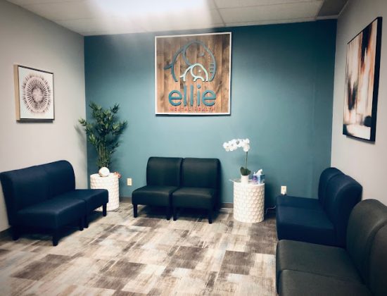 Ellie Mental Health