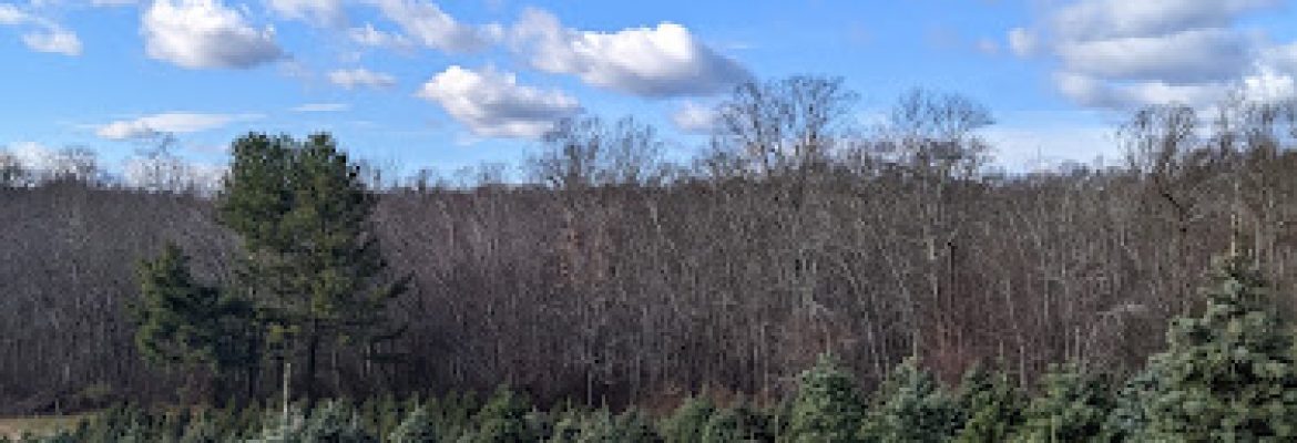 Schrempp’s Tree Farm