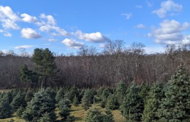 Schrempp’s Tree Farm