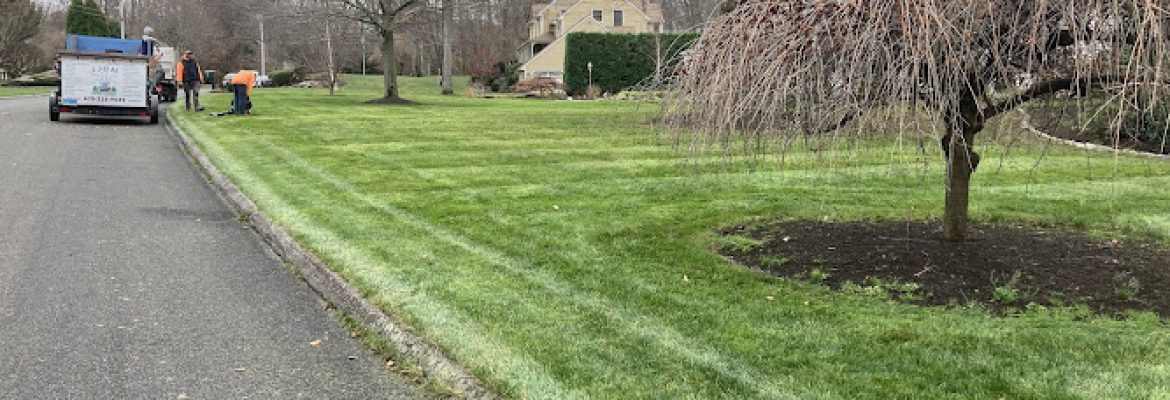 JJBM Landscaping & Tree Removal, LLC