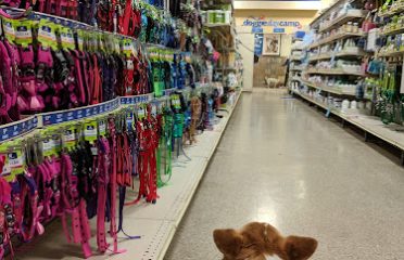 PetSmart