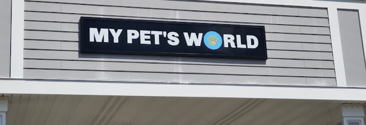 My Pet’s World