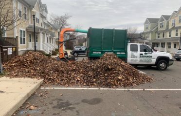 Sarango Landscaping & Construction Llc
