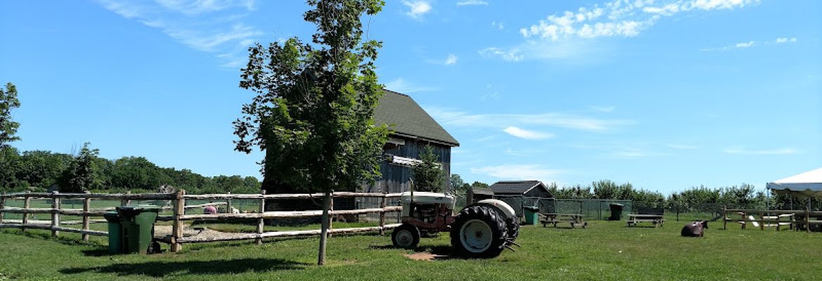 Rose Orchards