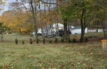 611 Lawn Care