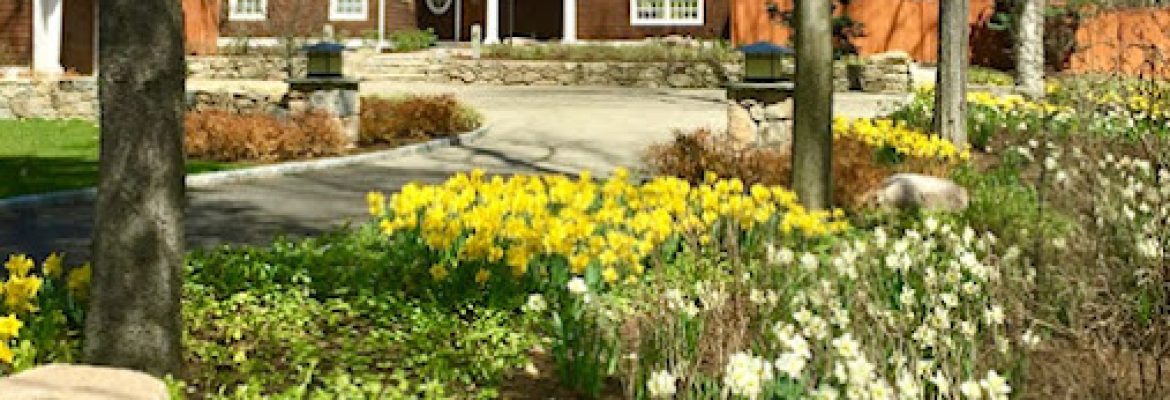 Camilla Landscape Design