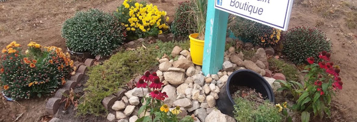 Striking Tela