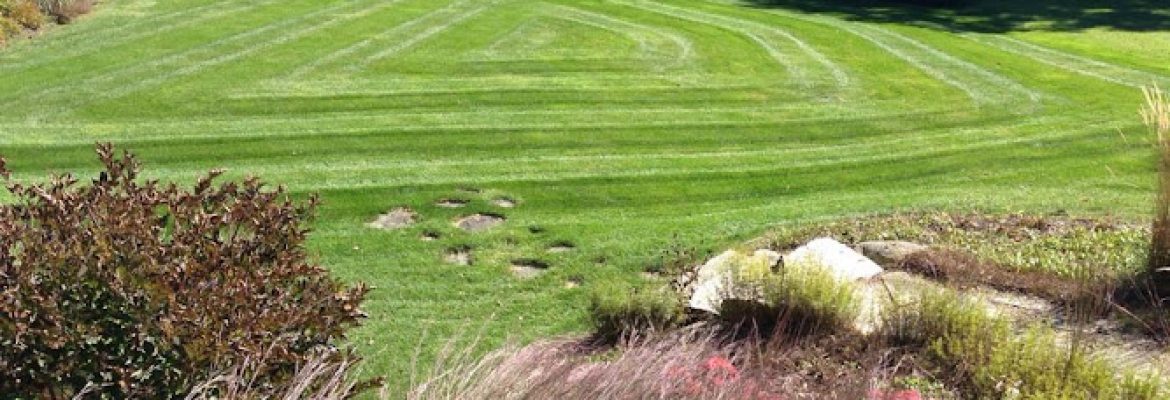 FGH Landscaping, LLC