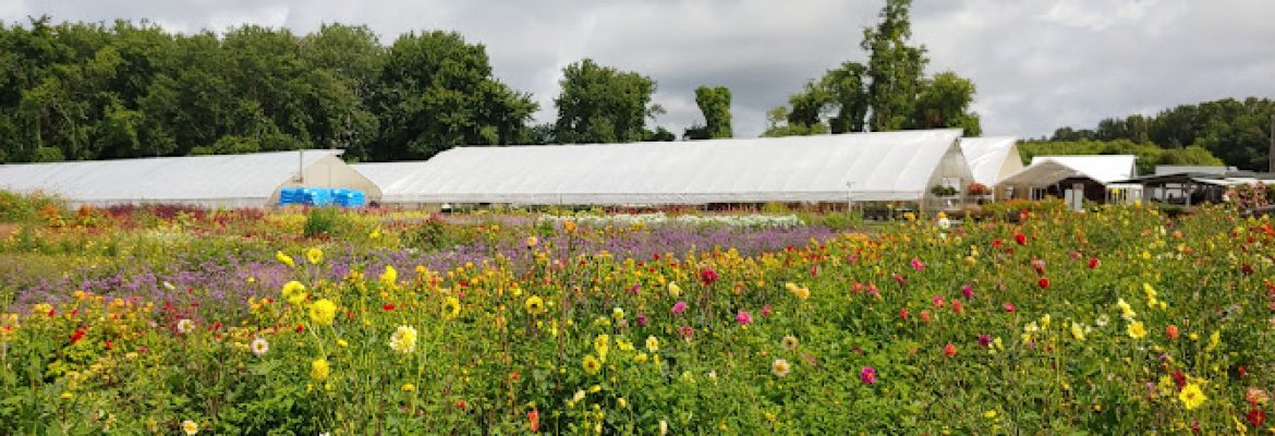 Scotts’ Farm & Greenhouses