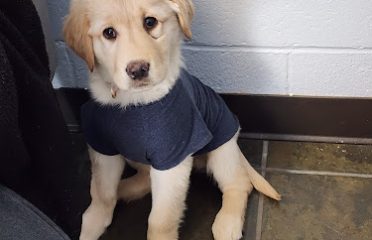 VCA Plainfield Animal Hospital