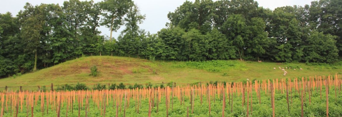 Beckett Farms