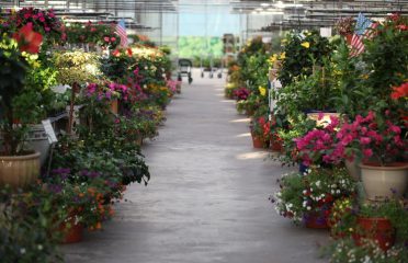 Country Flower Farms