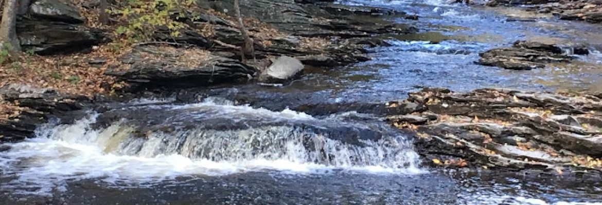 Mashamoquet Brook State Park