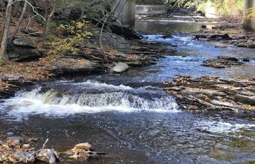 Mashamoquet Brook State Park