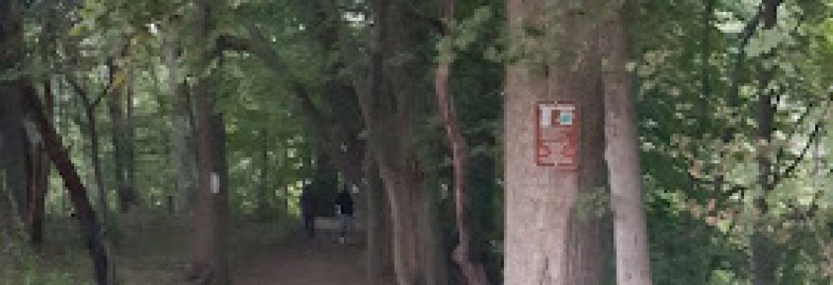 New Haven Parks