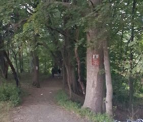 New Haven Parks