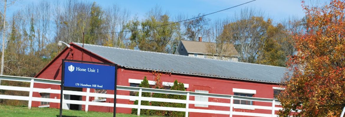 Department of Animal Science Horse Barn- Riding Lessons and Horse Sales