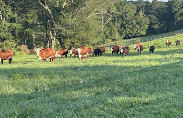 South Farms