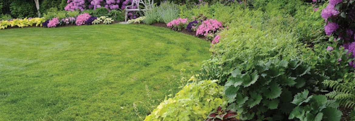 Lawn Care of Fairfield LLC