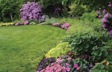 Lawn Care of Fairfield LLC