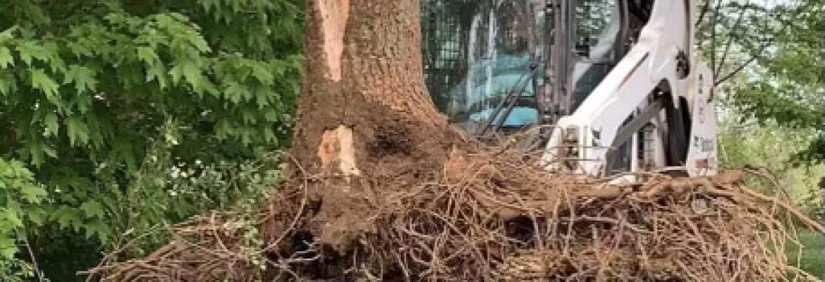 Brooks Landscaping LLC
