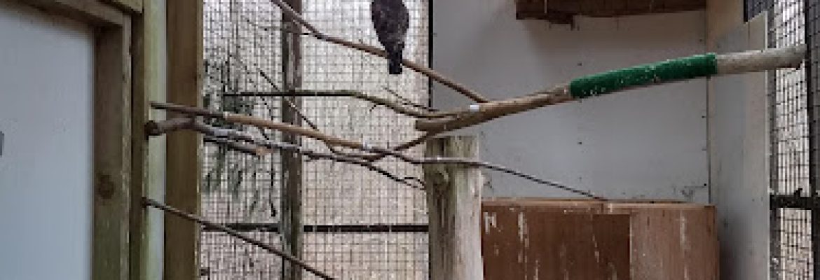 Denison Pequotsepos Nature Center