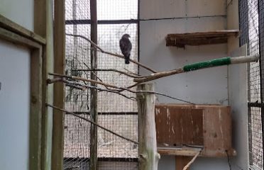Denison Pequotsepos Nature Center