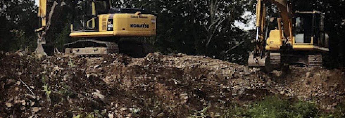Complete Excavation