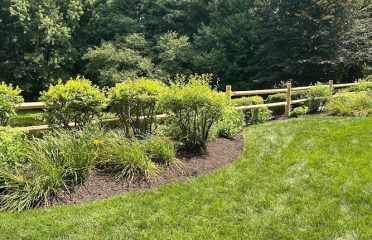 Addessi Fencing