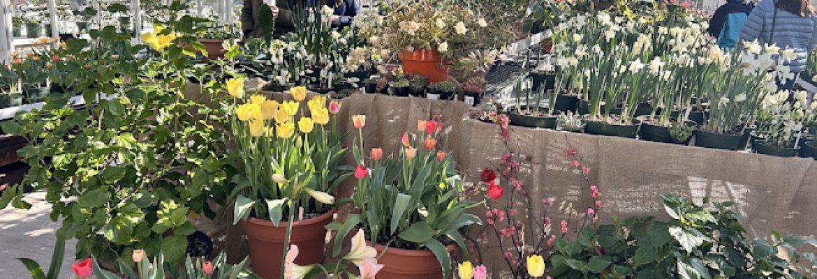 Elizabeth Park Greenhouse