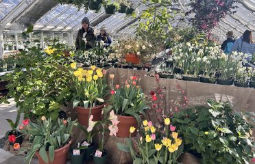 Elizabeth Park Greenhouse