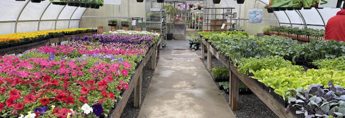 Gilbertie’s Herbs and Garden Center
