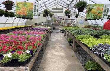 Gilbertie’s Herbs and Garden Center
